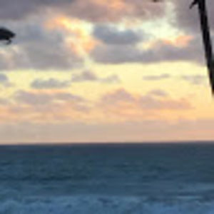 Meet your Posher, Casey ott